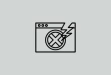 Comparison between amateur and professional WordPress website development standards